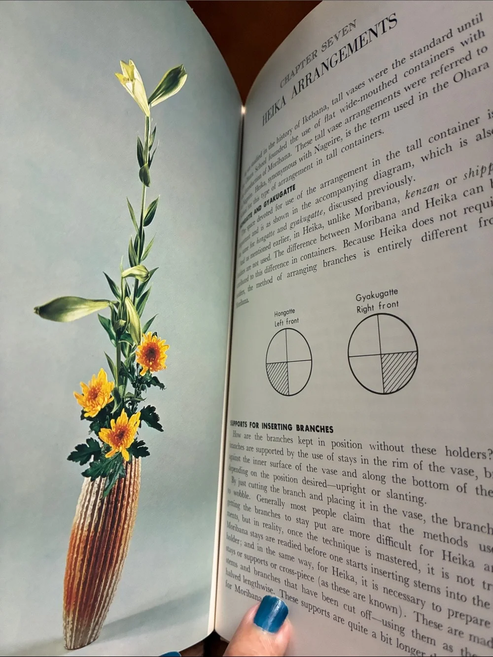 Ohara school floral enhance